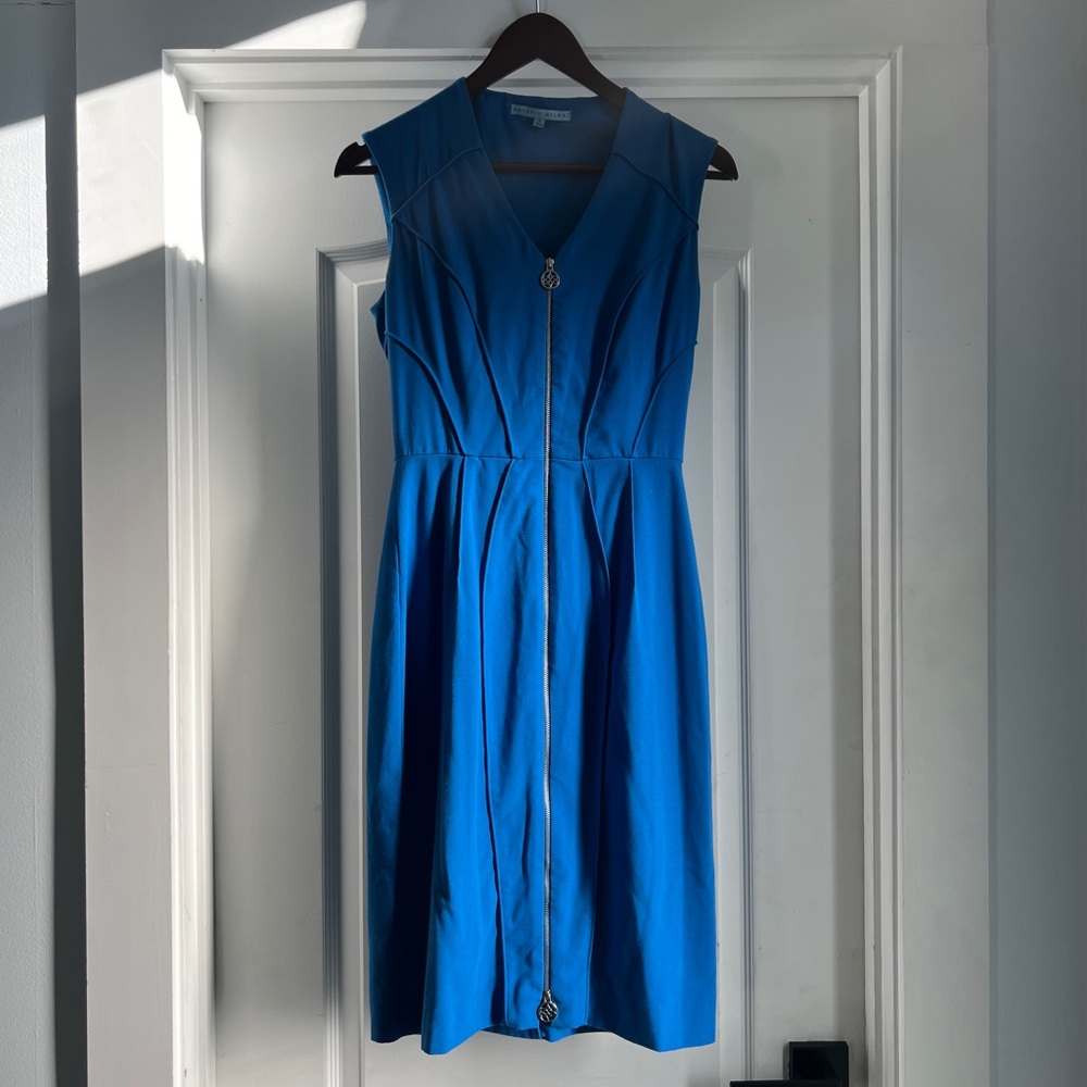 Antonio Melani dress